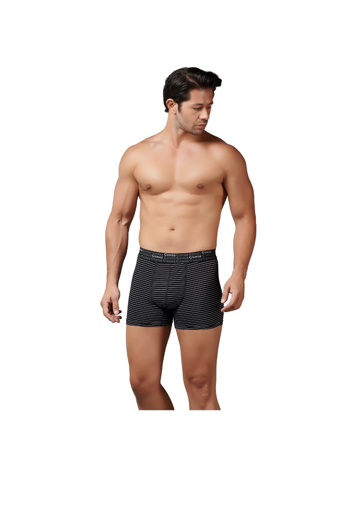 GÜMÜŞ ERKEK 12Lİ ÇİZGİLİ BOXER