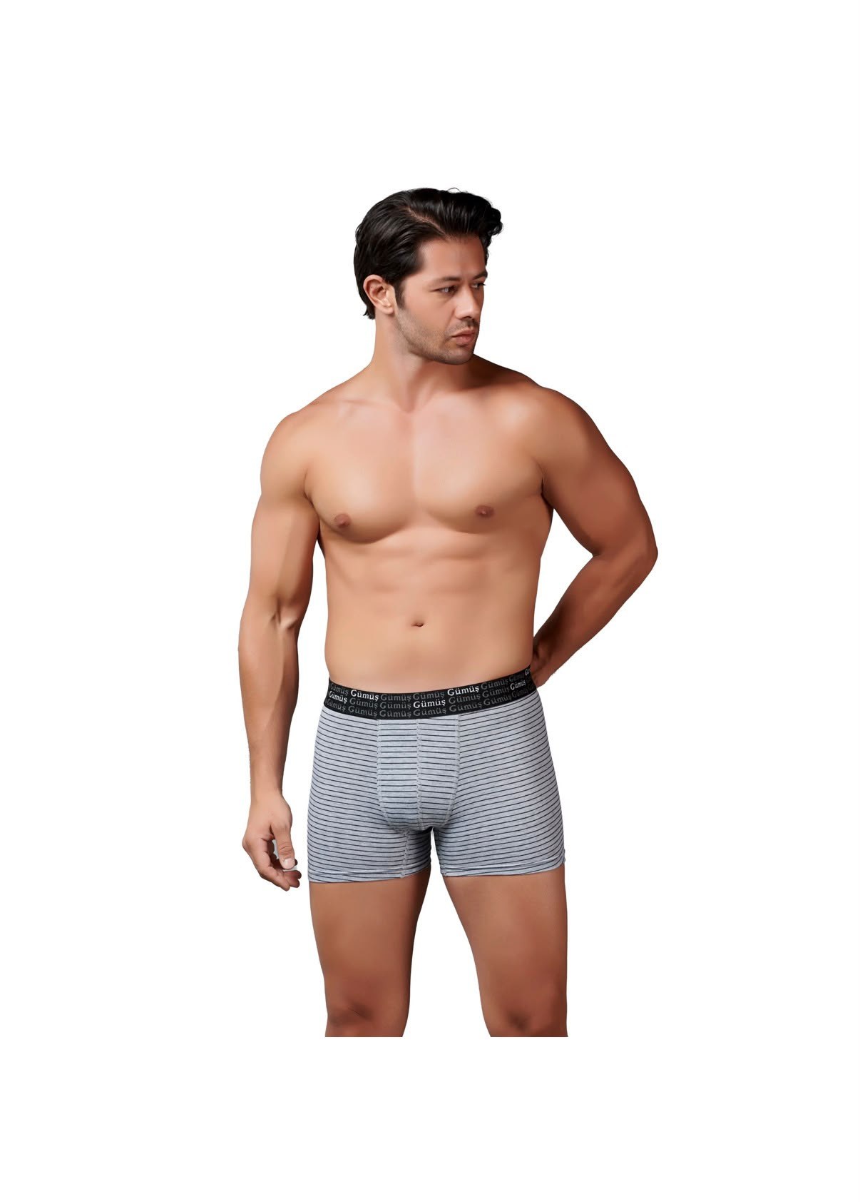GÜMÜŞ ERKEK 12Lİ ÇİZGİLİ BOXER