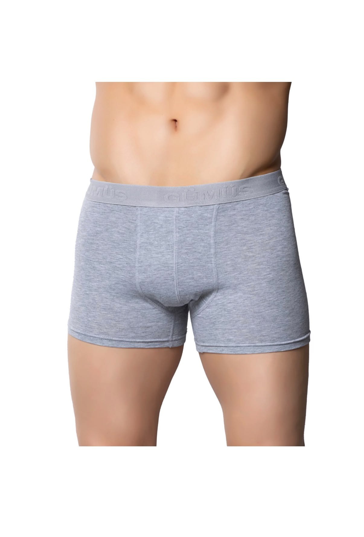 GÜMÜŞ ERKEK 12Lİ LİKRALI BOXER
